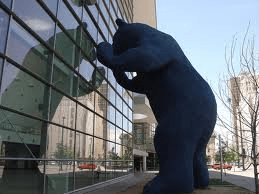 denver bear